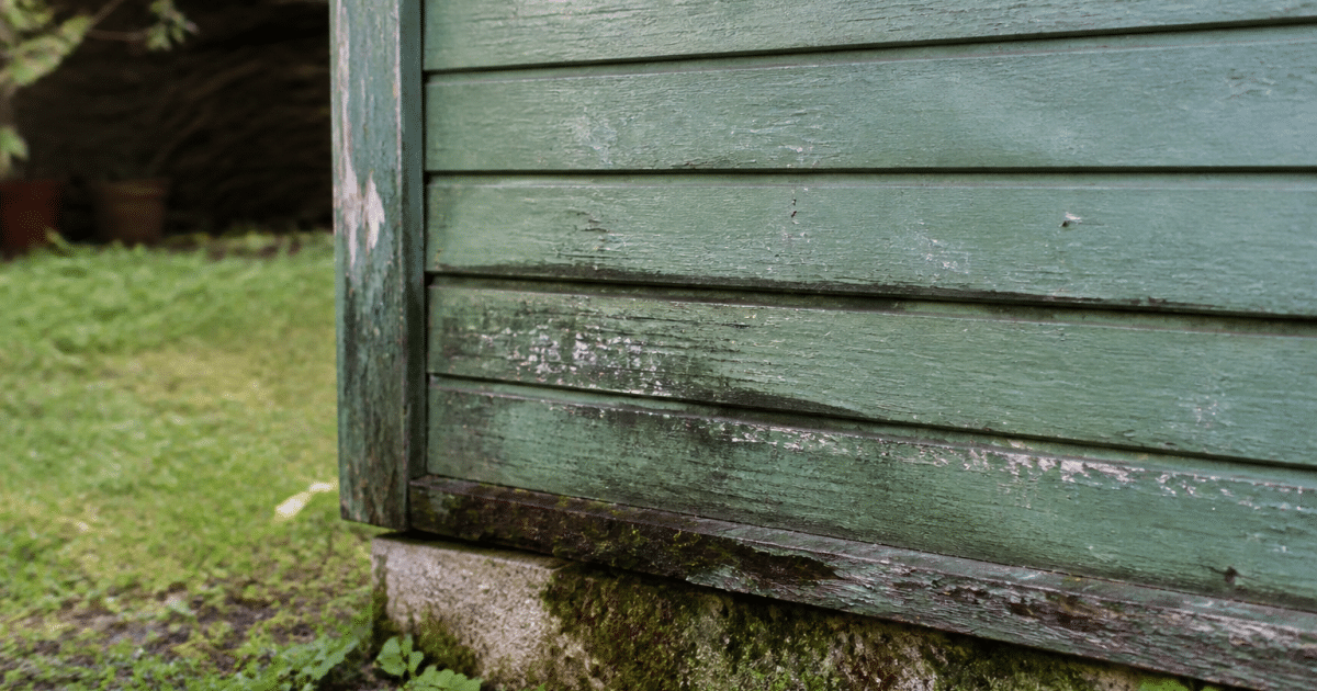 Bas d'abri jardin deteriore avec infiltrations eau visible