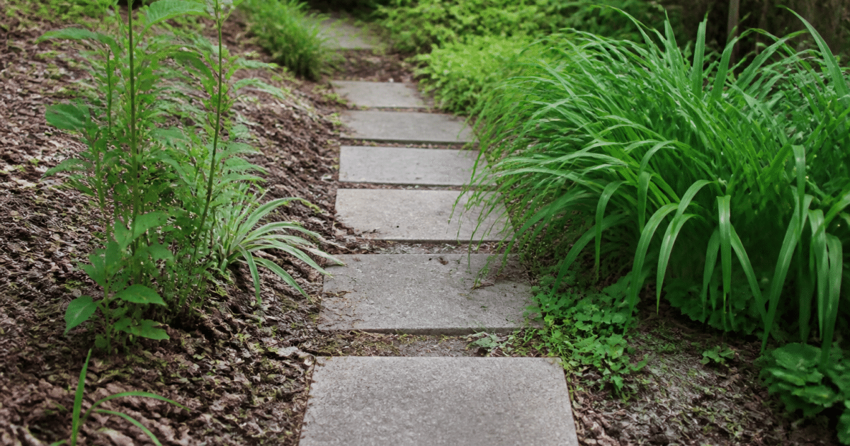 Pierres rectangulaires alignees formant sentier garden economique