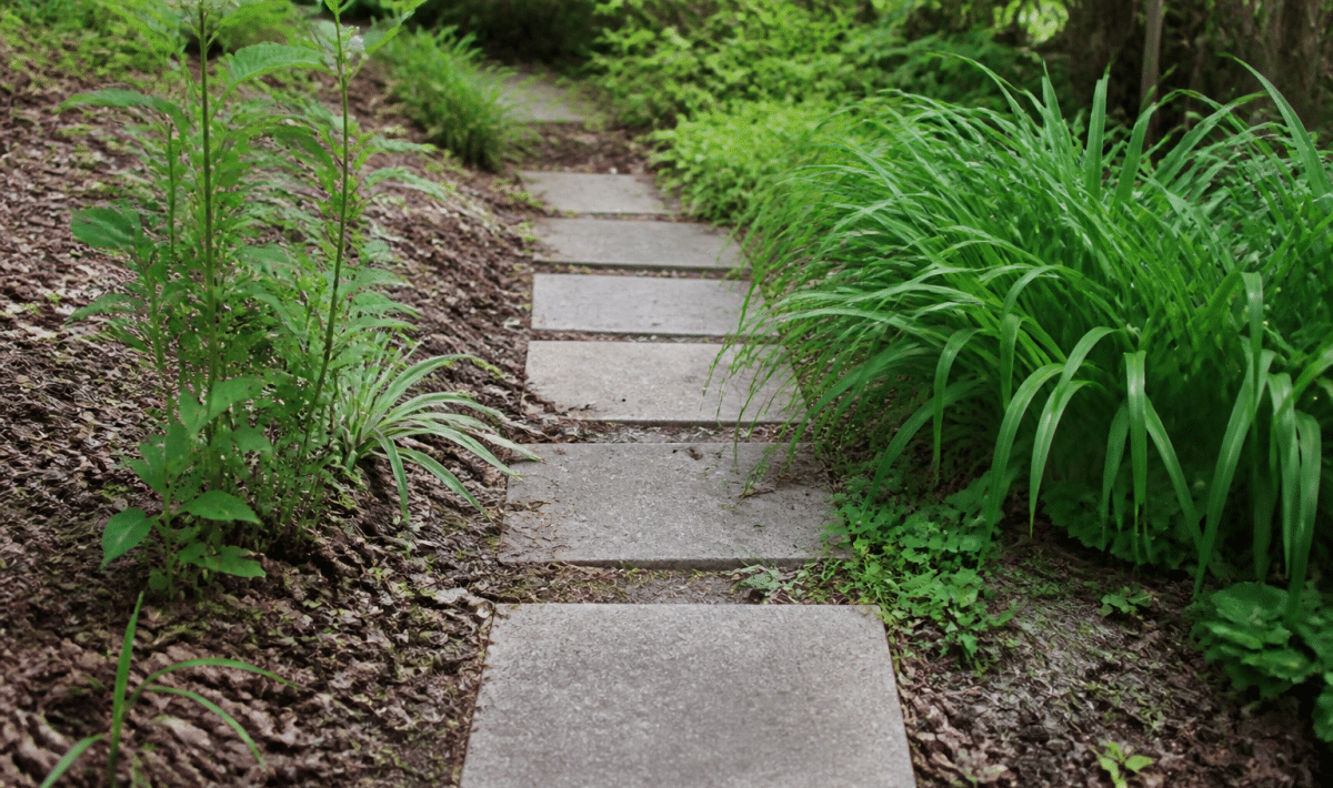 Pierres rectangulaires alignees formant sentier garden economique