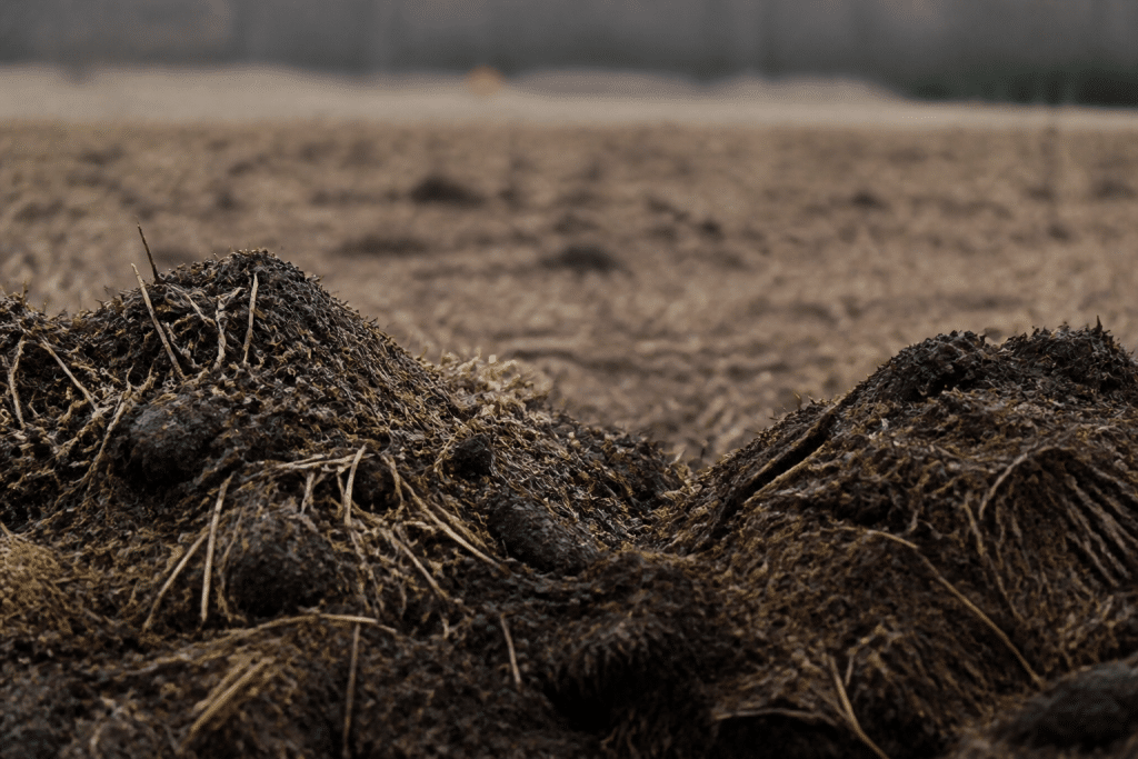 Compost et fumier epandus sur terre brune en automne