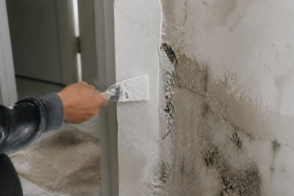 Spatule appliquant enduit blanc sur coin de mur humide