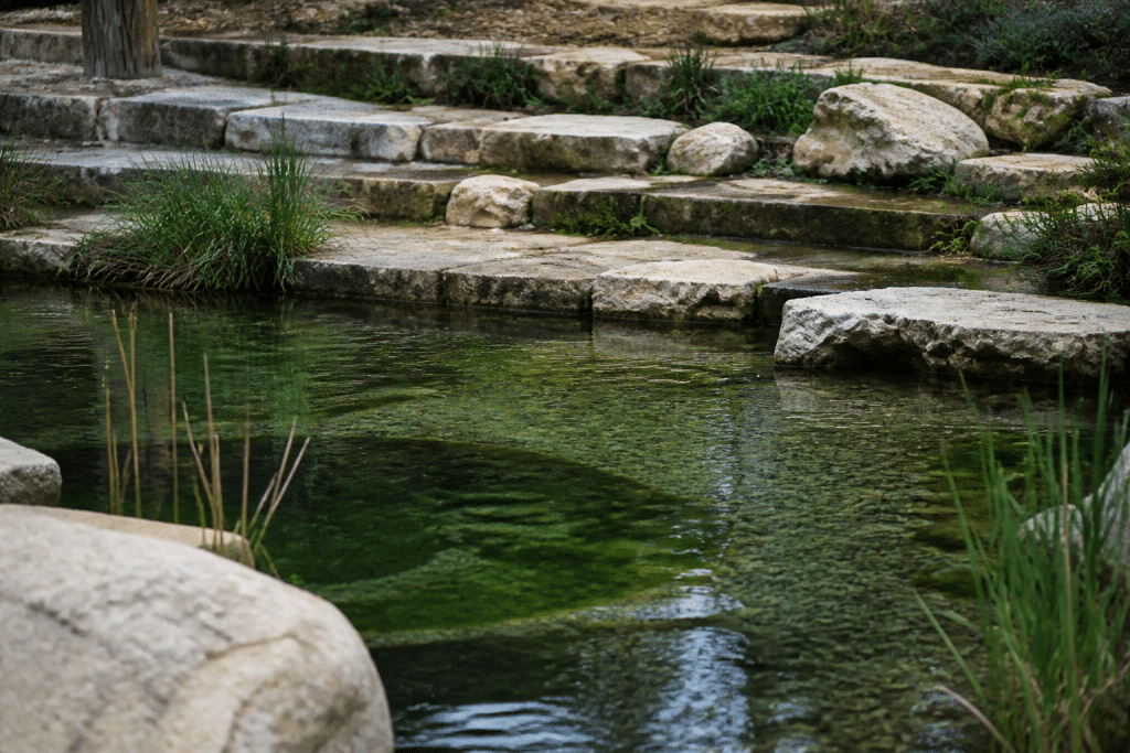 Bassin en gradins successifs avec zones de profondeur variable