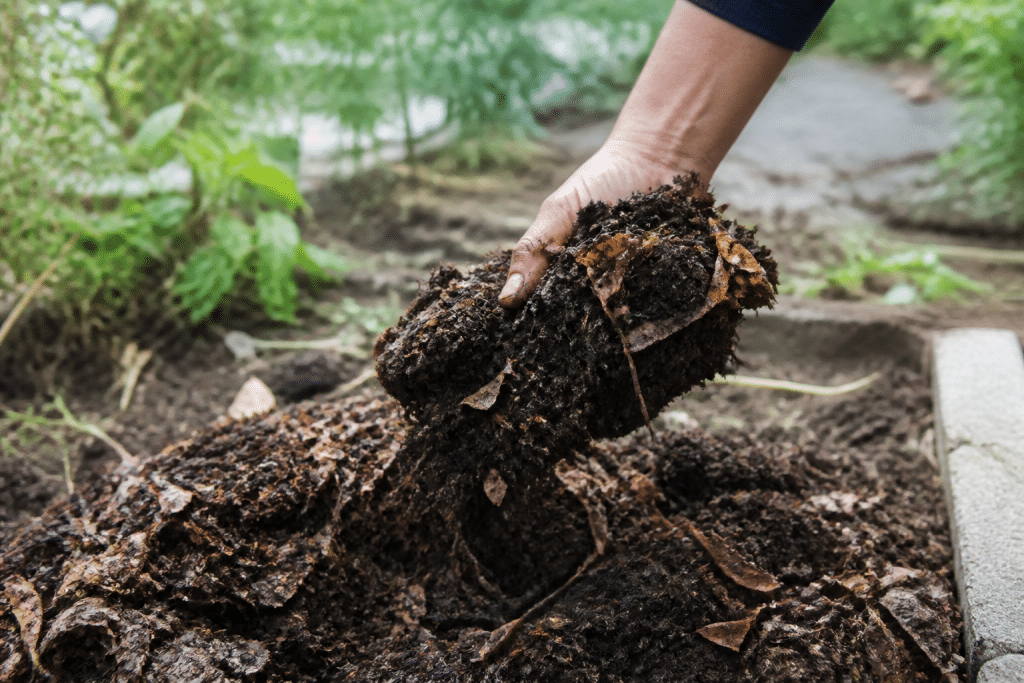 Compost brun et noir enrichissant terre de jardin fertile