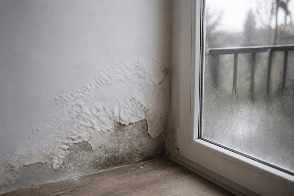 Murs humides montrant traces basses et condensation sur vitre froide