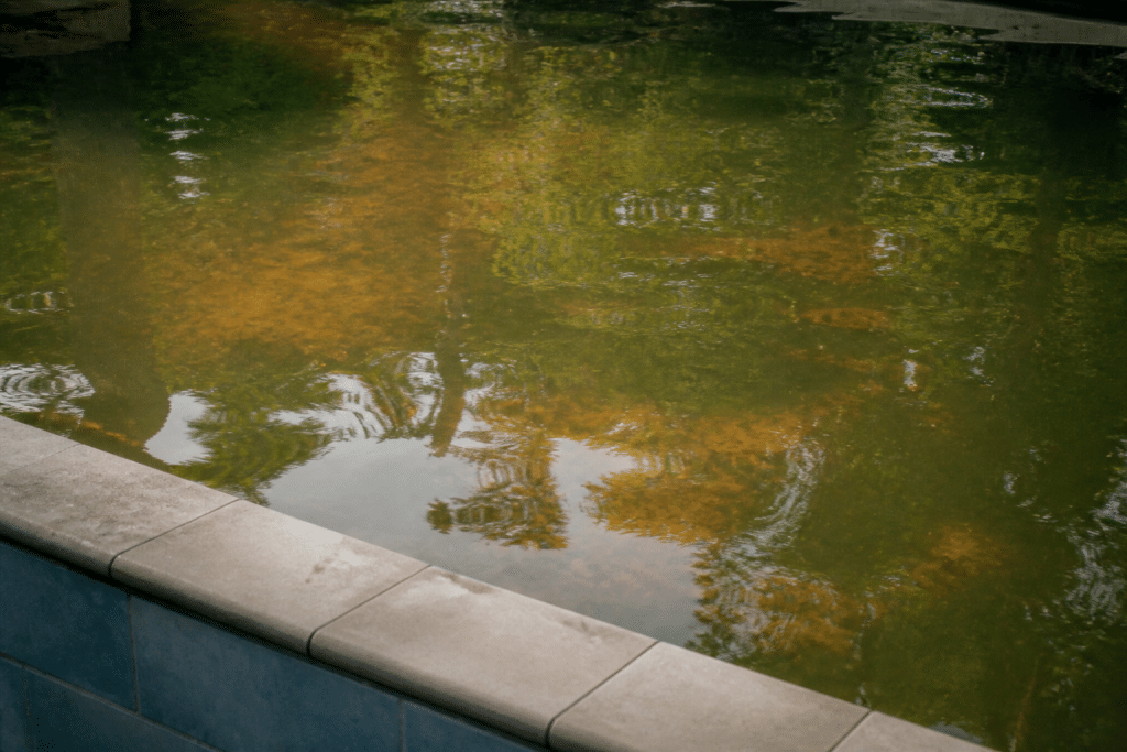 Eau de piscine troublee avec reflets cuivres verdatres