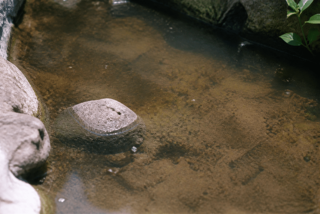 Bassin avec eau trouble et sediment marron visible