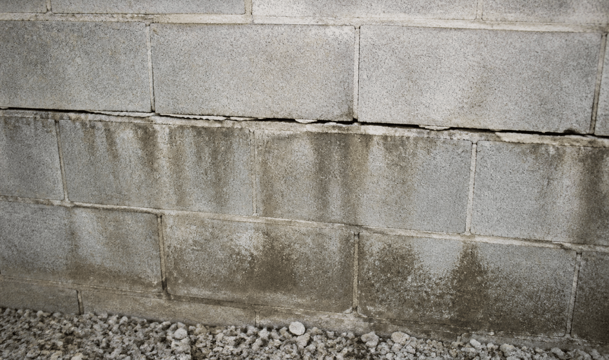 Mur de parpaings gris avec fissure horizontale et infiltration d'eau