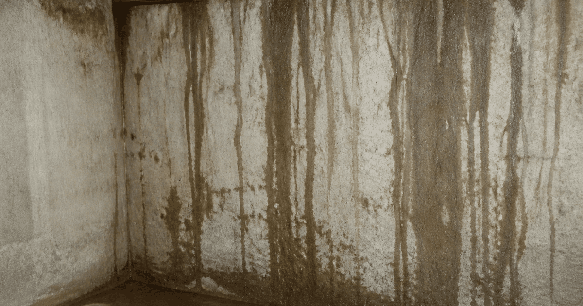 Mur de sous-sol humide avec taches d'eau s'ecoulant vers le bas