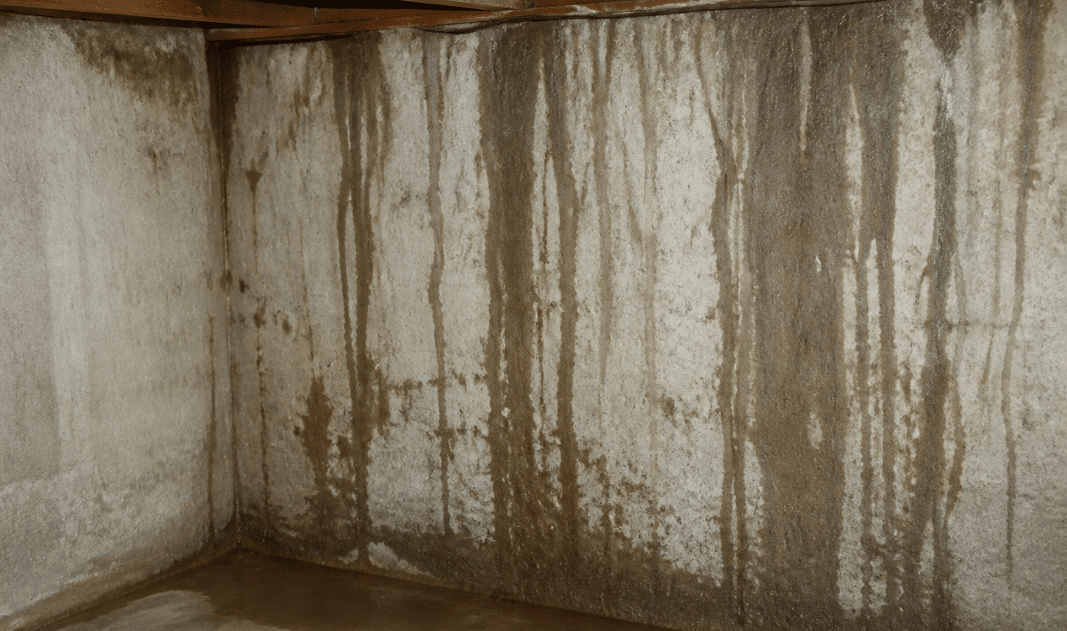 Mur de sous-sol humide avec taches d'eau s'ecoulant vers le bas