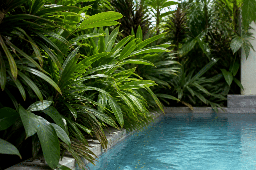 Plantes vertes luxuriantes bordant piscine bleue cristalline