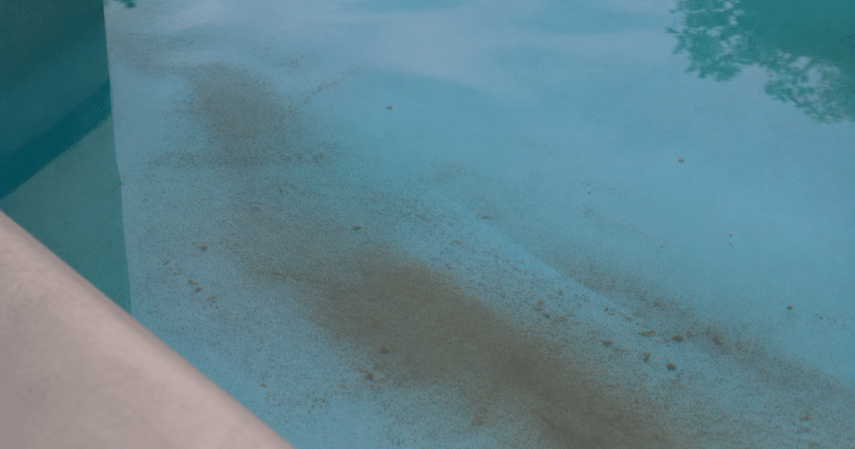 Sediment brun accumule au fond bassin eau claire piscine