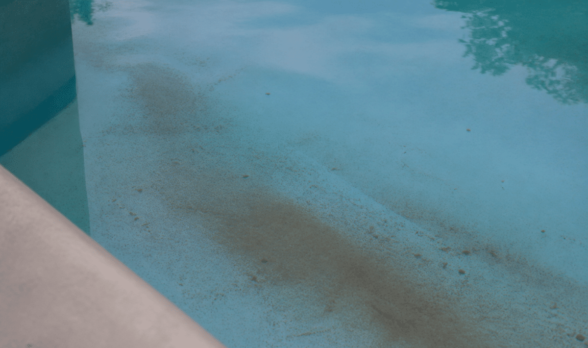 Sediment brun accumule au fond bassin eau claire piscine