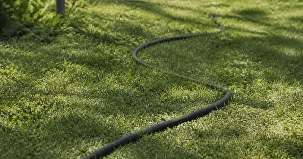 Tuyau d'arrosage noir serpentant sur sol herbeux vert