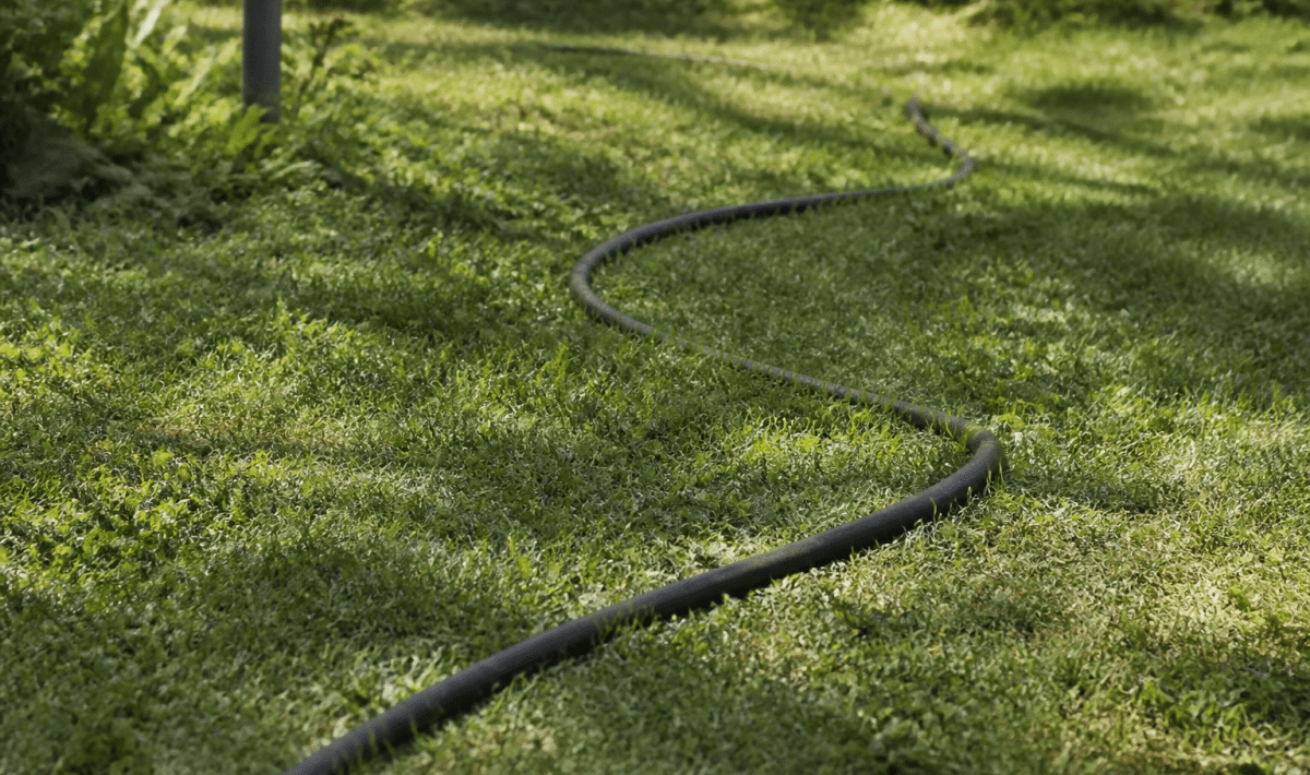 Tuyau d'arrosage noir serpentant sur sol herbeux vert